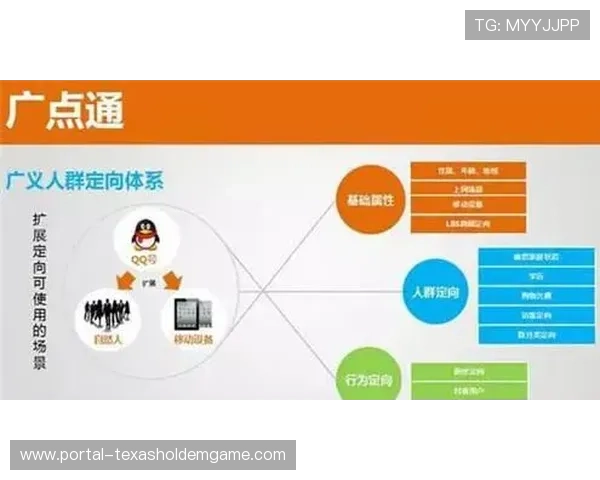 实时收视数据动态调整广告投放策略